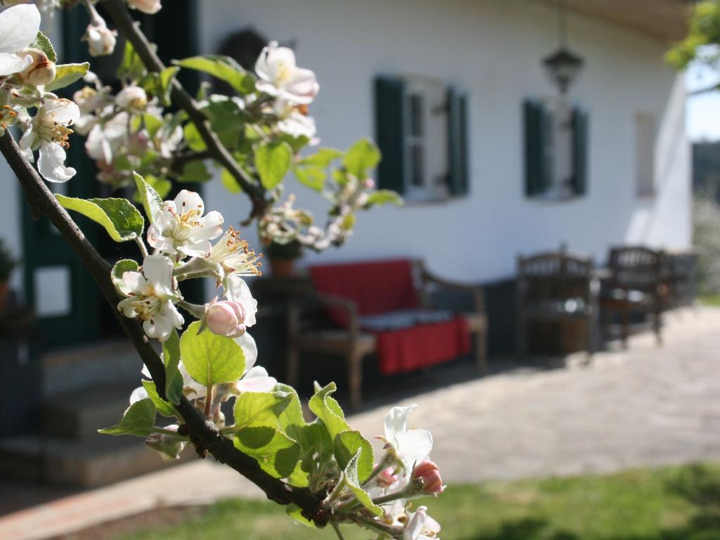 Sonnenhaus Grandl Apartment
