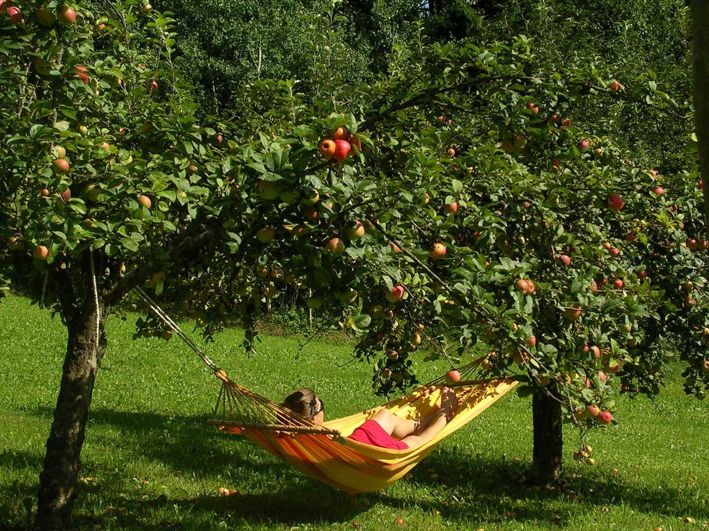 Appartamento Sonnenhaus Grandl *